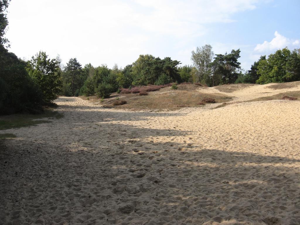 Landhuisjes Bij De Wouterbron Opglabbeek Exteriör bild