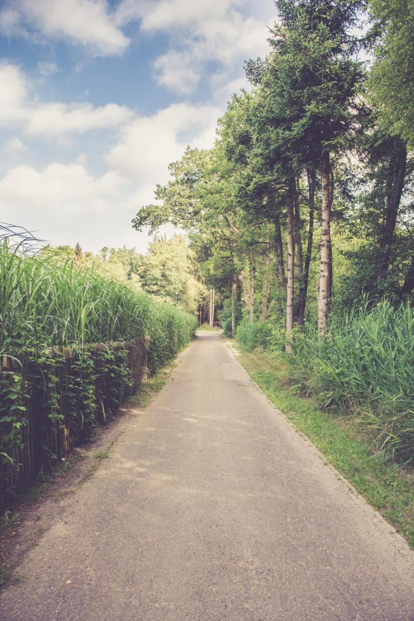 Landhuisjes Bij De Wouterbron Opglabbeek Exteriör bild