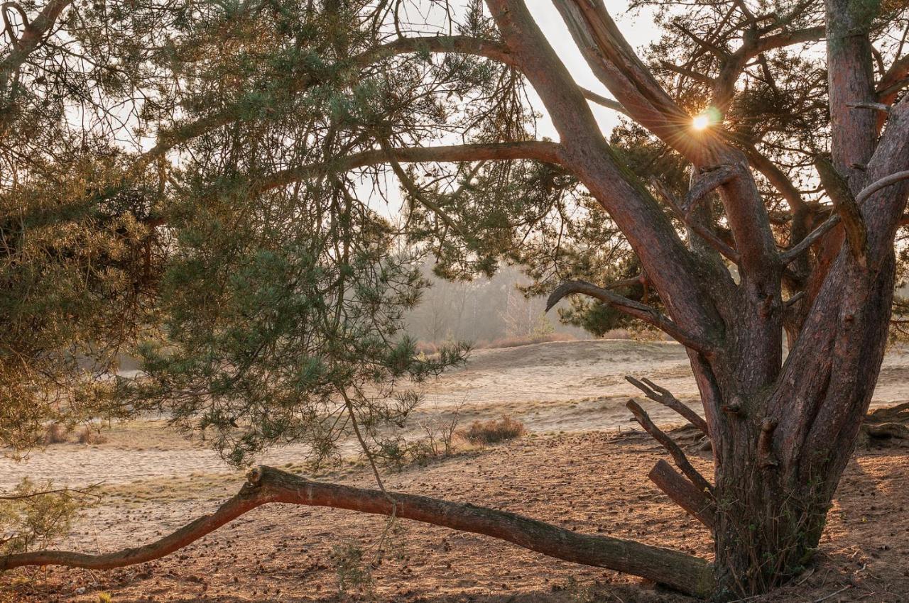 Landhuisjes Bij De Wouterbron Opglabbeek Exteriör bild